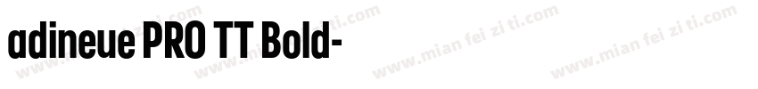 adineue PRO TT Bold字体转换